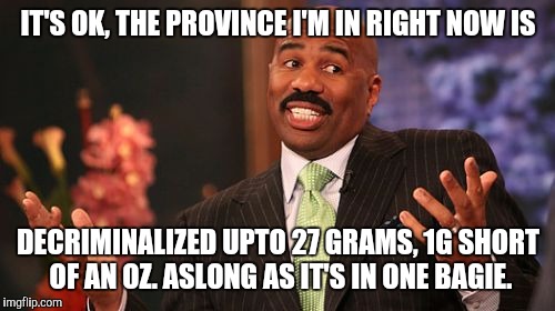 IT'S OK, THE PROVINCE I'M IN RIGHT NOW IS DECRIMINALIZED UPTO 27 GRAMS, 1G SHORT OF AN OZ. ASLONG AS IT'S IN ONE BAGIE. | image tagged in memes,steve harvey | made w/ Imgflip meme maker