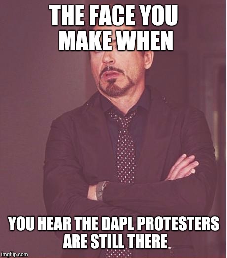 Face You Make Robert Downey Jr | THE FACE YOU MAKE WHEN; YOU HEAR THE DAPL PROTESTERS ARE STILL THERE | image tagged in memes,face you make robert downey jr | made w/ Imgflip meme maker