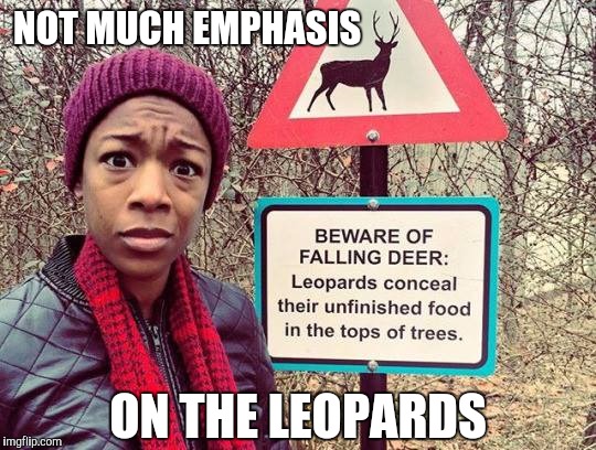 Beware of falling Deer | NOT MUCH EMPHASIS; ON THE LEOPARDS | image tagged in beware of falling deer | made w/ Imgflip meme maker