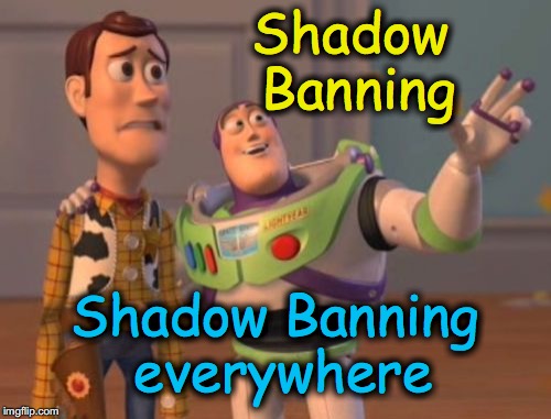 can't wait til election is over, so I won't keep getting shadow banned | Shadow Banning; Shadow Banning everywhere | image tagged in memes,x x everywhere | made w/ Imgflip meme maker