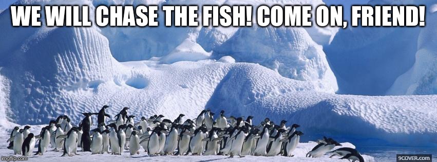 Penguins  | WE WILL CHASE THE FISH! COME ON, FRIEND! | image tagged in penguins | made w/ Imgflip meme maker