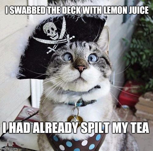 Spangles Meme | I SWABBED THE DECK WITH LEMON JUICE; I HAD ALREADY SPILT MY TEA | image tagged in memes,spangles | made w/ Imgflip meme maker