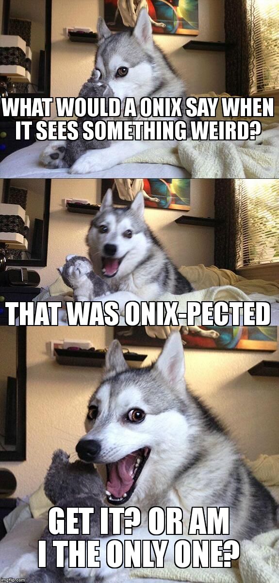 Bad Pun Dog Meme | WHAT WOULD A ONIX SAY WHEN IT SEES SOMETHING WEIRD? THAT WAS ONIX-PECTED; GET IT? OR AM I THE ONLY ONE? | image tagged in memes,bad pun dog | made w/ Imgflip meme maker