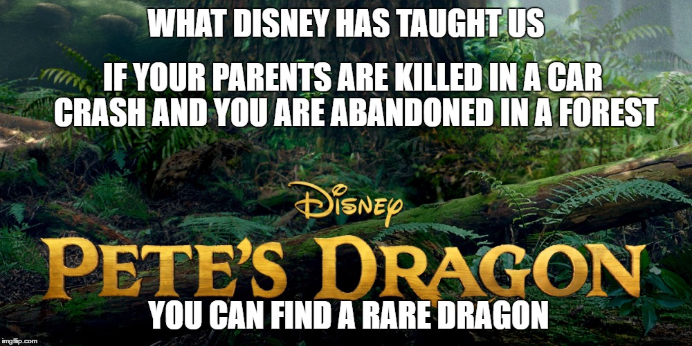 Pete's Dragon lessons | IF YOUR PARENTS ARE KILLED IN A CAR CRASH AND YOU ARE ABANDONED IN A FOREST; WHAT DISNEY HAS TAUGHT US; YOU CAN FIND A RARE DRAGON | image tagged in disney,memes,dragon | made w/ Imgflip meme maker