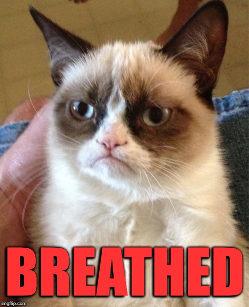 Grumpy Cat Meme | BREATHED | image tagged in memes,grumpy cat | made w/ Imgflip meme maker