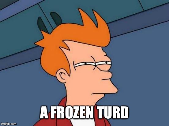 Futurama Fry Meme | A FROZEN TURD | image tagged in memes,futurama fry | made w/ Imgflip meme maker