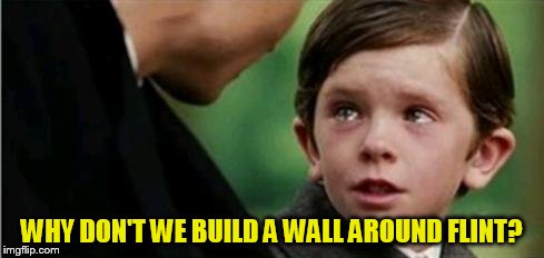 WHY DON'T WE BUILD A WALL AROUND FLINT? | made w/ Imgflip meme maker