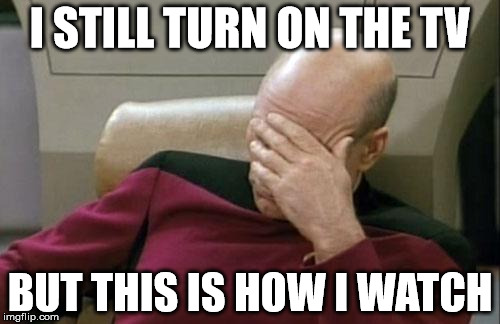 cant watch cant not watch  | I STILL TURN ON THE TV; BUT THIS IS HOW I WATCH | image tagged in memes,captain picard facepalm | made w/ Imgflip meme maker