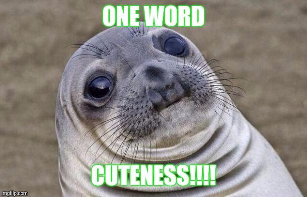 Awkward Moment Sealion | ONE WORD; CUTENESS!!!! | image tagged in memes,awkward moment sealion | made w/ Imgflip meme maker