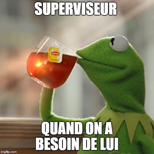 But That's None Of My Business Meme | SUPERVISEUR; QUAND ON A BESOIN DE LUI | image tagged in memes,but thats none of my business,kermit the frog | made w/ Imgflip meme maker