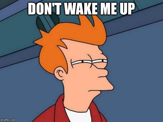 Futurama Fry | DON'T WAKE ME UP | image tagged in memes,futurama fry | made w/ Imgflip meme maker