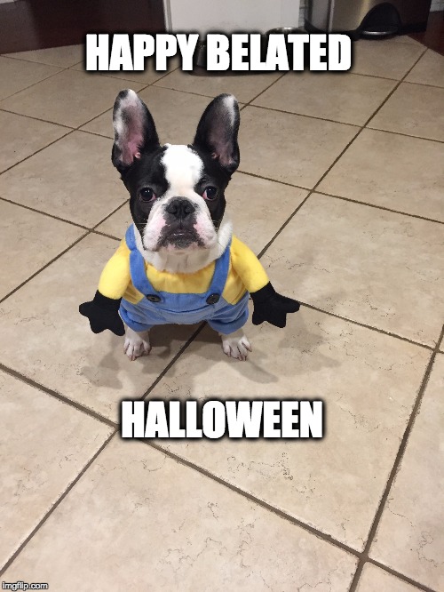 HAPPY BELATED; HALLOWEEN | image tagged in halloween | made w/ Imgflip meme maker
