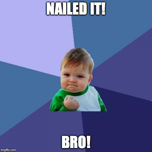 Success Kid | NAILED IT! BRO! | image tagged in memes,success kid | made w/ Imgflip meme maker