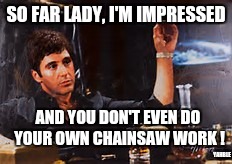 SO FAR LADY, I'M IMPRESSED AND YOU DON'T EVEN DO YOUR OWN CHAINSAW WORK ! YAHBLE | made w/ Imgflip meme maker