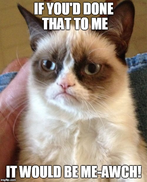 Grumpy Cat Meme | IF YOU'D DONE THAT TO ME IT WOULD BE ME-AWCH! | image tagged in memes,grumpy cat | made w/ Imgflip meme maker