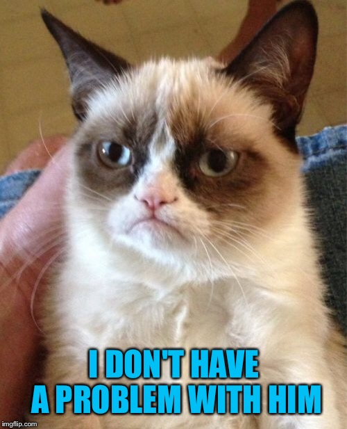 Grumpy Cat Meme | I DON'T HAVE A PROBLEM WITH HIM | image tagged in memes,grumpy cat | made w/ Imgflip meme maker