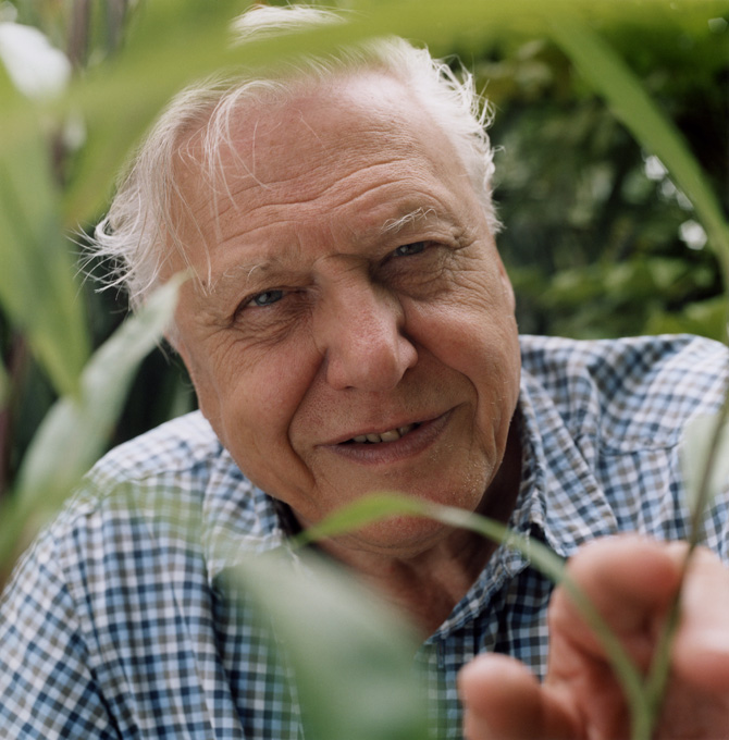 High Quality Sir David Attenborough Blank Meme Template