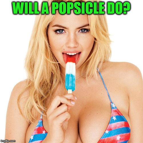 WILL A POPSICLE DO? | made w/ Imgflip meme maker
