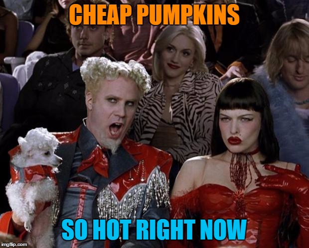Discarded pumpkins - so rotting right now... | CHEAP PUMPKINS; SO HOT RIGHT NOW | image tagged in memes,mugatu so hot right now,halloween,pumpkins,shopping,food | made w/ Imgflip meme maker