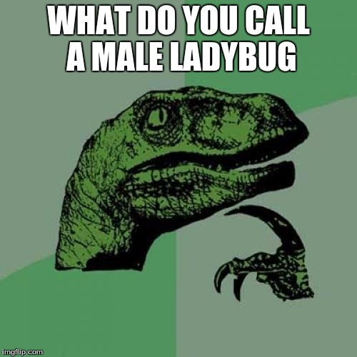 Philosoraptor | WHAT DO YOU CALL A MALE LADYBUG | image tagged in memes,philosoraptor | made w/ Imgflip meme maker