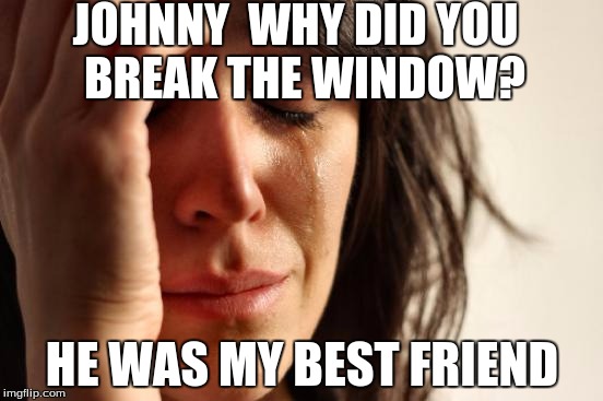 First World Problems | JOHNNY  WHY DID YOU  BREAK THE WINDOW? HE WAS MY BEST FRIEND | image tagged in memes,first world problems | made w/ Imgflip meme maker