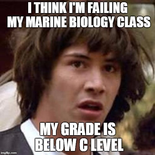 Conspiracy Keanu Meme | I THINK I'M FAILING MY MARINE BIOLOGY CLASS; MY GRADE IS BELOW C LEVEL | image tagged in memes,conspiracy keanu | made w/ Imgflip meme maker