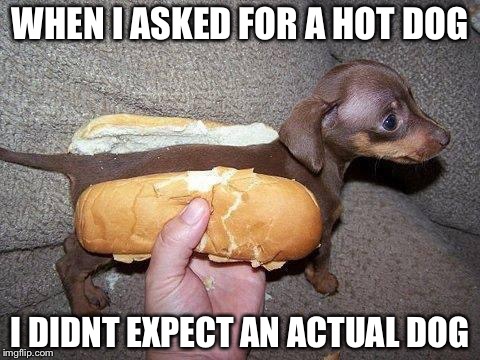 Hot Dog!! | WHEN I ASKED FOR A HOT DOG; I DIDNT EXPECT AN ACTUAL DOG | image tagged in hot dog | made w/ Imgflip meme maker
