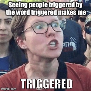 Seeing people triggered by the word triggered makes me | made w/ Imgflip meme maker