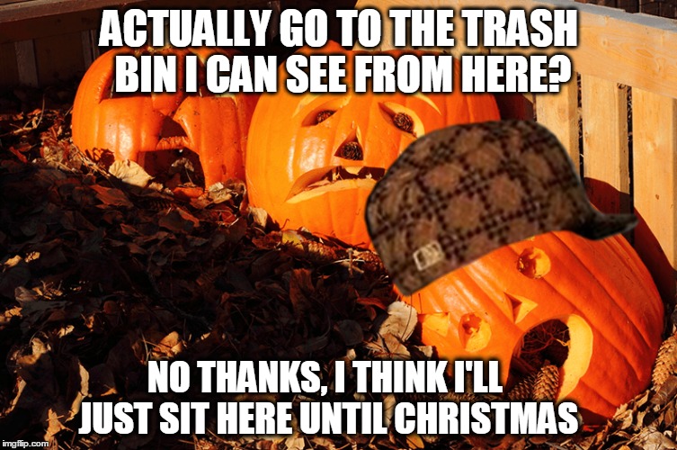 scumbag pumpkins | ACTUALLY GO TO THE TRASH BIN I CAN SEE FROM HERE? NO THANKS, I THINK I'LL JUST SIT HERE UNTIL CHRISTMAS | image tagged in pumpkin,trash,halloween,scumbag pumpkin | made w/ Imgflip meme maker