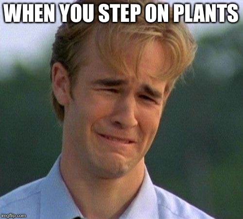 1990s First World Problems | WHEN YOU STEP ON PLANTS | image tagged in memes,1990s first world problems | made w/ Imgflip meme maker
