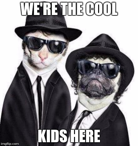 Blues Brothers Animals | WE'RE THE COOL; KIDS HERE | image tagged in blues brothers animals | made w/ Imgflip meme maker