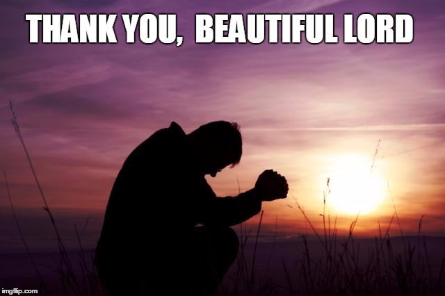 Pray | THANK YOU,  BEAUTIFUL LORD | image tagged in pray | made w/ Imgflip meme maker