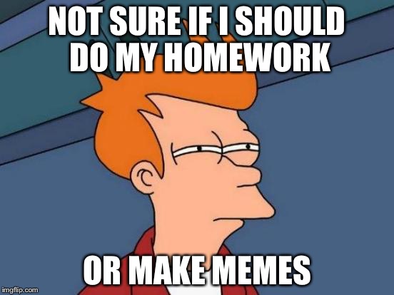 Futurama Fry Meme | NOT SURE IF I SHOULD DO MY HOMEWORK; OR MAKE MEMES | image tagged in memes,futurama fry | made w/ Imgflip meme maker