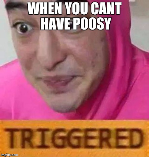 Pink guy triggered | WHEN YOU CANT HAVE POOSY | image tagged in pink guy triggered | made w/ Imgflip meme maker