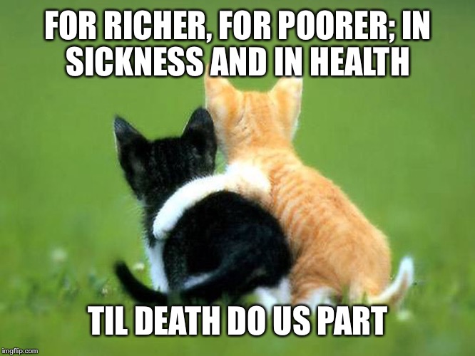 FOR RICHER, FOR POORER;
IN SICKNESS AND IN HEALTH TIL DEATH DO US PART | made w/ Imgflip meme maker