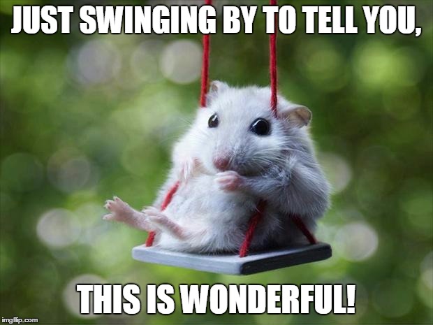 Mouse swing | JUST SWINGING BY TO TELL YOU, THIS IS WONDERFUL! | image tagged in mouse swing | made w/ Imgflip meme maker