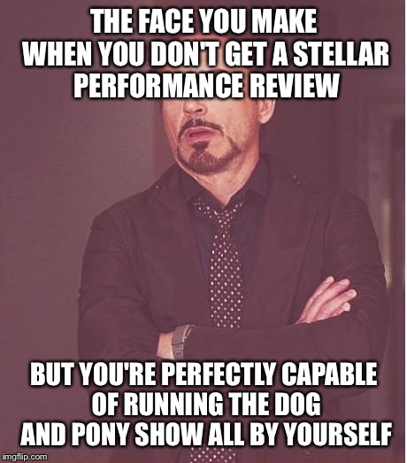 Face You Make Robert Downey Jr Meme | THE FACE YOU MAKE WHEN YOU DON'T GET A STELLAR PERFORMANCE REVIEW; BUT YOU'RE PERFECTLY CAPABLE OF RUNNING THE DOG AND PONY SHOW ALL BY YOURSELF | image tagged in memes,face you make robert downey jr | made w/ Imgflip meme maker