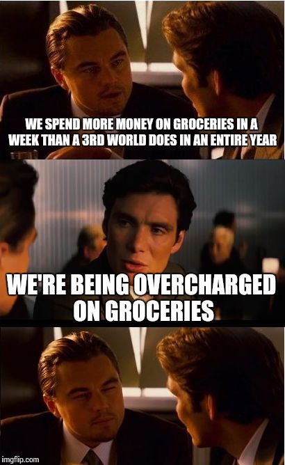 Inception Meme | WE SPEND MORE MONEY ON GROCERIES IN A WEEK THAN A 3RD WORLD DOES IN AN ENTIRE YEAR; WE'RE BEING OVERCHARGED ON GROCERIES | image tagged in memes,inception | made w/ Imgflip meme maker
