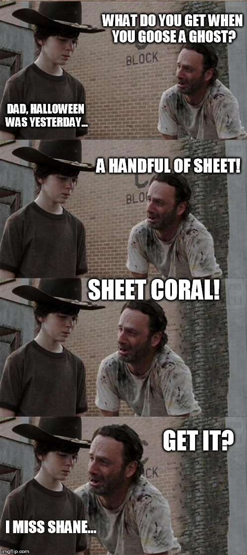Rick and Carl Long | WHAT DO YOU GET WHEN YOU GOOSE A GHOST? DAD, HALLOWEEN WAS YESTERDAY... A HANDFUL OF SHEET! SHEET CORAL! GET IT? I MISS SHANE... | image tagged in memes,rick and carl long | made w/ Imgflip meme maker