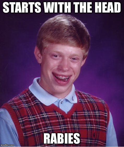 Bad Luck Brian Meme | STARTS WITH THE HEAD RABIES | image tagged in memes,bad luck brian | made w/ Imgflip meme maker