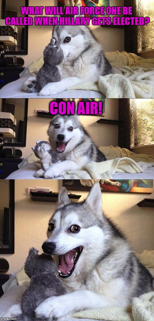 Bad Pun Dog Meme | WHAT WILL AIR FORCE ONE BE CALLED WHEN HILLARY GETS ELECTED? CON AIR! | image tagged in memes,bad pun dog | made w/ Imgflip meme maker