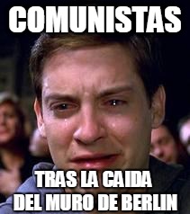 Peter Parker crying | COMUNISTAS; TRAS LA CAIDA DEL MURO DE BERLIN | image tagged in peter parker crying | made w/ Imgflip meme maker