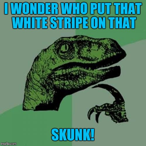 Philosoraptor Meme | I WONDER WHO PUT THAT WHITE STRIPE ON THAT; SKUNK! | image tagged in memes,philosoraptor | made w/ Imgflip meme maker
