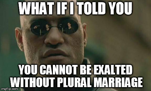 Mormon Morpheus Polygamy | WHAT IF I TOLD YOU; YOU CANNOT BE EXALTED WITHOUT PLURAL MARRIAGE | image tagged in matrix morpheus,mormon,polygamy,plural,marriage | made w/ Imgflip meme maker