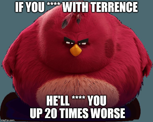 Angry Birds | IF YOU **** WITH TERRENCE; HE'LL **** YOU UP 20 TIMES WORSE | image tagged in angry birds | made w/ Imgflip meme maker