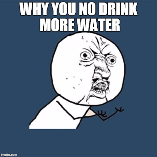 Y U No Meme | WHY YOU NO DRINK MORE WATER | image tagged in memes,y u no | made w/ Imgflip meme maker