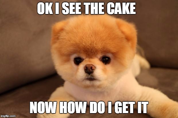 http://cdn.theanimals.pics/pictures/www.theblogismine.com/wp-con | OK I SEE THE CAKE; NOW HOW DO I GET IT | image tagged in http//cdntheanimalspics/pictures/wwwtheblogisminecom/wp-con | made w/ Imgflip meme maker