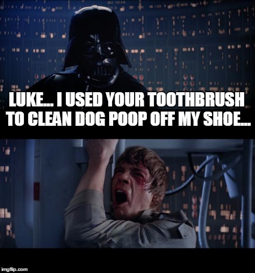 Star Wars No | LUKE... I USED YOUR TOOTHBRUSH TO CLEAN DOG POOP OFF MY SHOE... | image tagged in memes,star wars no | made w/ Imgflip meme maker