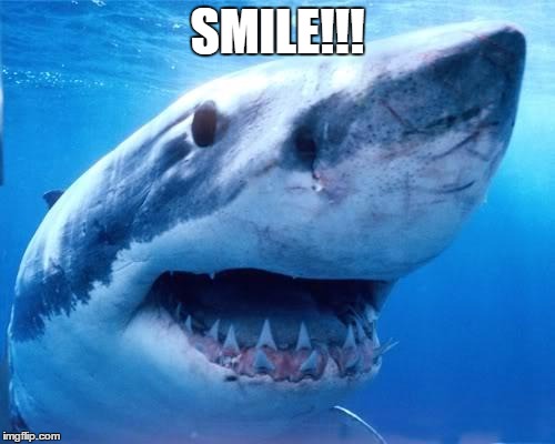 animals | SMILE!!! | image tagged in animals | made w/ Imgflip meme maker
