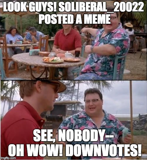 See Nobody Cares Meme | LOOK GUYS! SOLIBERAL_20022 POSTED A MEME; SEE, NOBODY-- OH WOW! DOWNVOTES! | image tagged in memes,see nobody cares | made w/ Imgflip meme maker